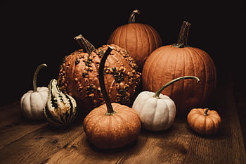 A variety of pumpkins and gourds on a wooden surface, perfect for autumn decor. HD wallpaper