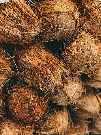 Coconut milk powder, Sustainable solution, Convenient alternative, Creamy and rich HD phone wallpaper