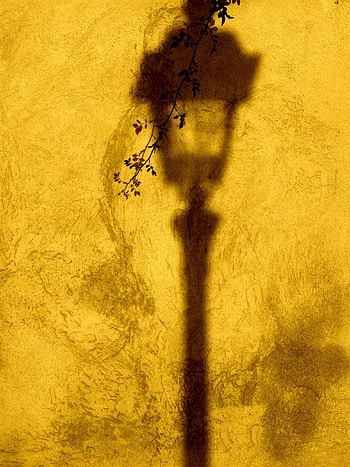 Texture, Textures, Branch, Shadow, Wall, Lantern, Lamp HD phone wallpaper