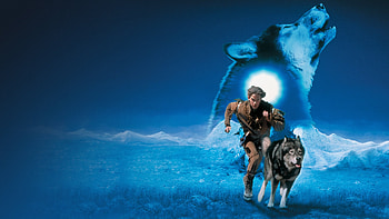 White Fang (Movie), White Fang 2, Myth of the White Wolf, 1994 HD wallpaper