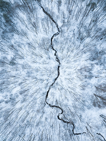Aerial view, white forest, stream, winter HD phone wallpaper