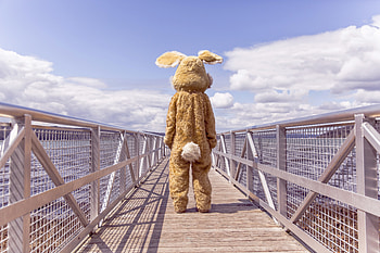 Miscellanea, Miscellaneous, Bridge, Loneliness, Hare, Costume HD wallpaper