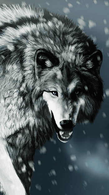 Top wolf , Epic wilderness, Nature's marvel, Breathtaking landscapes HD phone wallpaper