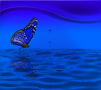 Blue Butterfly, waves, butterfly, water, reflections HD wallpaper