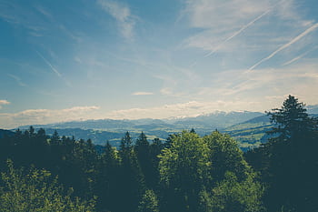 Panoramic view of a lush forest with distant mountains under a clear blue sky. HD wallpaper