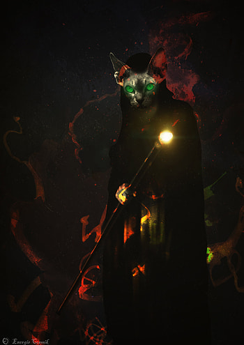 Magic, Art, Cat, Staff HD phone wallpaper