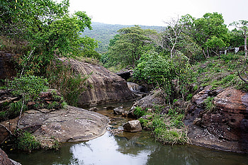 A stream near, forests, nature, rocks, rivers HD wallpaper