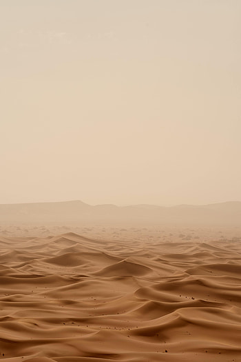 Nature, Waves, Sand, Desert, Brown, Relief HD phone wallpaper