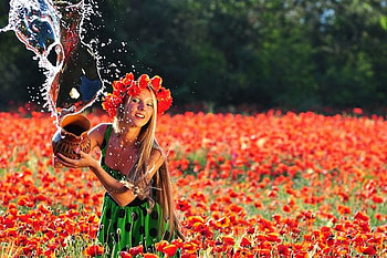 aquarius, blond, poppy, field, beauty HD wallpaper