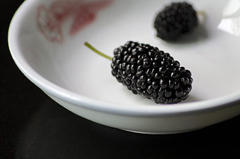 Food, Berries, Plate, Mulberry HD wallpaper