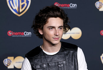 Hollywood Star Celebrity, Celebrity, Timothée Chalamet HD wallpaper