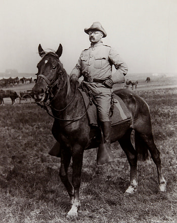 Theodore Roosevelt, Rough Rider, National Park Service HD phone wallpaper