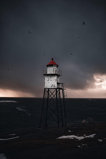 Nature, Birds, Sea, Waves, Structure HD phone wallpaper