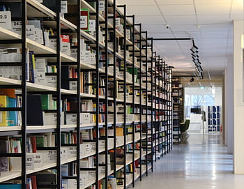 A spacious modern library with organized bookshelves and a well-lit aisle, perfect for reading and research. HD wallpaper
