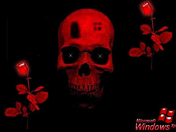 Red Horror, skull, horror, red HD wallpaper