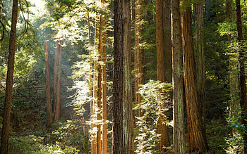 Nature backgrounds, National parks, graphic art, Scenic beauty HD wallpaper