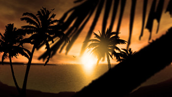 Sunset at Fiji Islands, sea, palm tree, fiji, sunset HD wallpaper