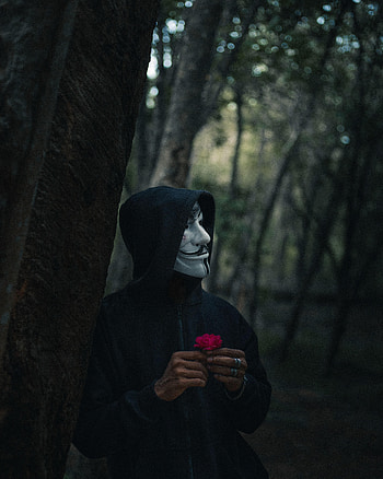 Mask, Anonymous, Miscellanea, Miscellaneous, Forest, Human, Person, Hood HD phone wallpaper