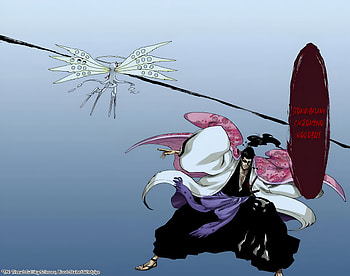 Shunsui Kyōraku, Anime, Bleach: Thousand-Year Blood War HD wallpaper