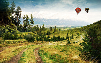 Landscape, Nature, Trees, Road, Field HD wallpaper