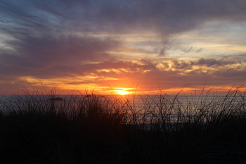 Nature, Sunset, Grass, Sky, Twilight, Dusk HD wallpaper