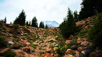 Just a gloomy day at Mt Hood National Forest in Oregon, trees, sky, usa, stones, mountain HD wallpaper