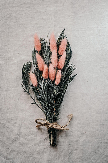 Flowers, Cones, Fluffy, Bouquet, Spikelets HD phone wallpaper