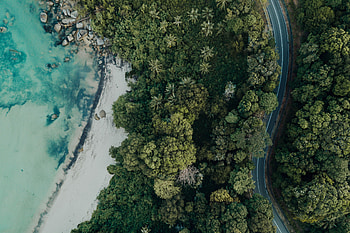 Nature, Stones, Sea, Beach, Palms, View From Above HD wallpaper