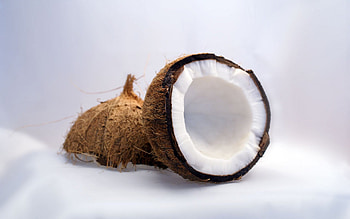 Coconut, , Scenic beauty, Tropical escape HD wallpaper