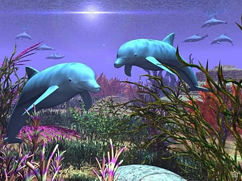 Dolphins, animal, fish, water, dolphin HD wallpaper