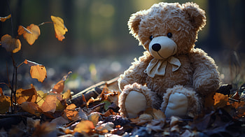 Teddy Bear Autumn Bliss, teddy bear, man made, stuffed animal HD wallpaper