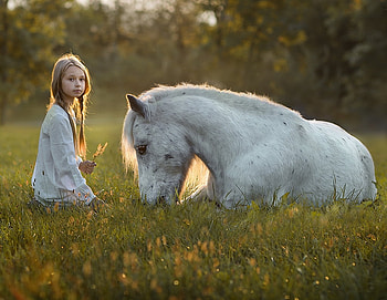 Little girl and horse, animal, white, horse, cowgirl, girl, copil, little, summer, child HD wallpaper