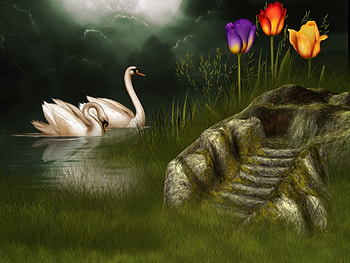 ✰.SWAN LOVERS.✰, colorful, Stock , grasses, cute, colors, Nature, tulips, Resources, animals, trees, Premade, pond, sweet, lovers, beautiful, swim, swans, Backgrounds, pretty, love, cool, flowers, lovely, splendor HD wallpaper