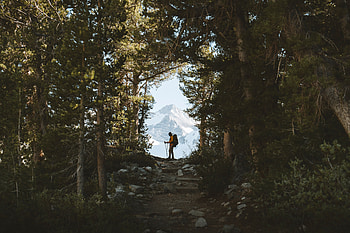 Nature, Trees, Mountain, Silhouette, Forest, Tourist HD wallpaper