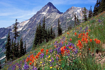 Cascade Splendor, splendor, cascade HD wallpaper