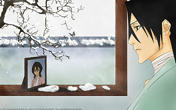 Byakuya Kuchiki, bleach, anime, byakuya, rukia, kuchiki HD wallpaper