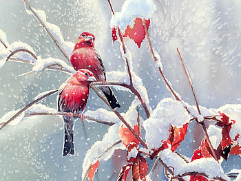 Snow, Animal, Artistic, Bird, Winter HD wallpaper