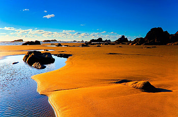 Dry or warm?, landscape, desert HD wallpaper