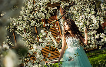 lady, model, graphy, beauty HD wallpaper