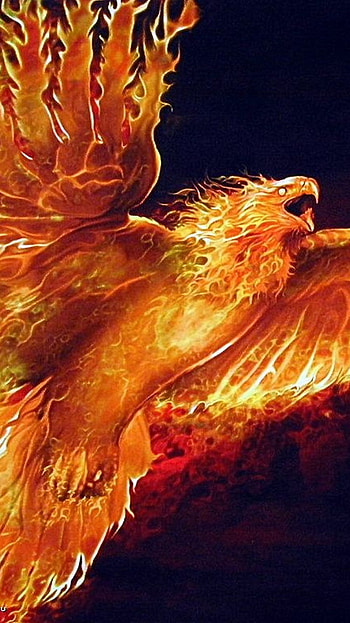 fire phoenix, wings, bird, fire, fantasy HD phone wallpaper