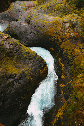 Nature, Water, Rocks, Moss, Creek, Brook HD phone wallpaper