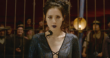 Nagini, Fantastic Beasts, , Background HD wallpaper
