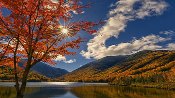 lake in the fall, autumn, sun, tree, lake HD wallpaper