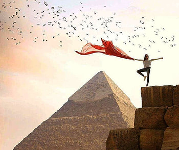dom, cool, birds, people, graphy HD wallpaper