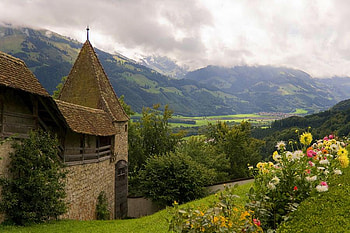Heavenly Valley, valley, house, landscape, flowers, mountains HD wallpaper