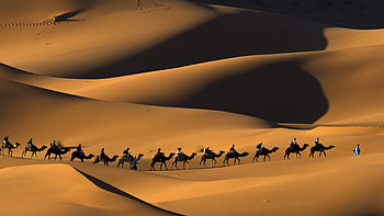 Camel Caravan, Morocco, Sand, People, Camel, , Caravan, Desert HD wallpaper