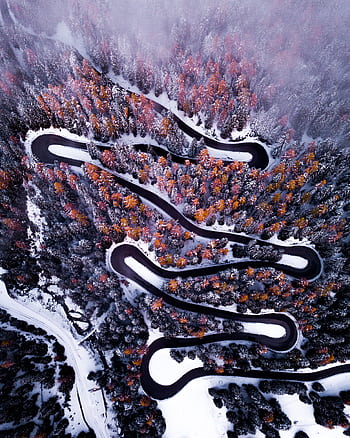 A mesmerizing aerial shot of a winding road through a snowy forest in winter. HD phone wallpaper