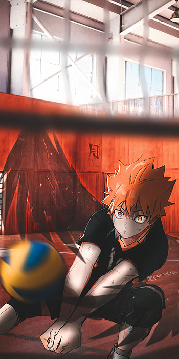 Hinata Shoyo, Hinata Shoyo edit, Volleyball, Haikyuu , Haikyuu HD phone wallpaper