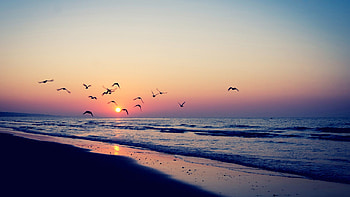Sea sunset scenery, Horizon, Seascape HD wallpaper
