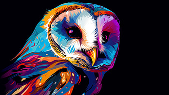 Pop Art Barn Owl, barn owl, pop art, bird HD wallpaper